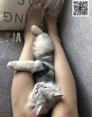国产玩弄丝袜美女_电影在线观看